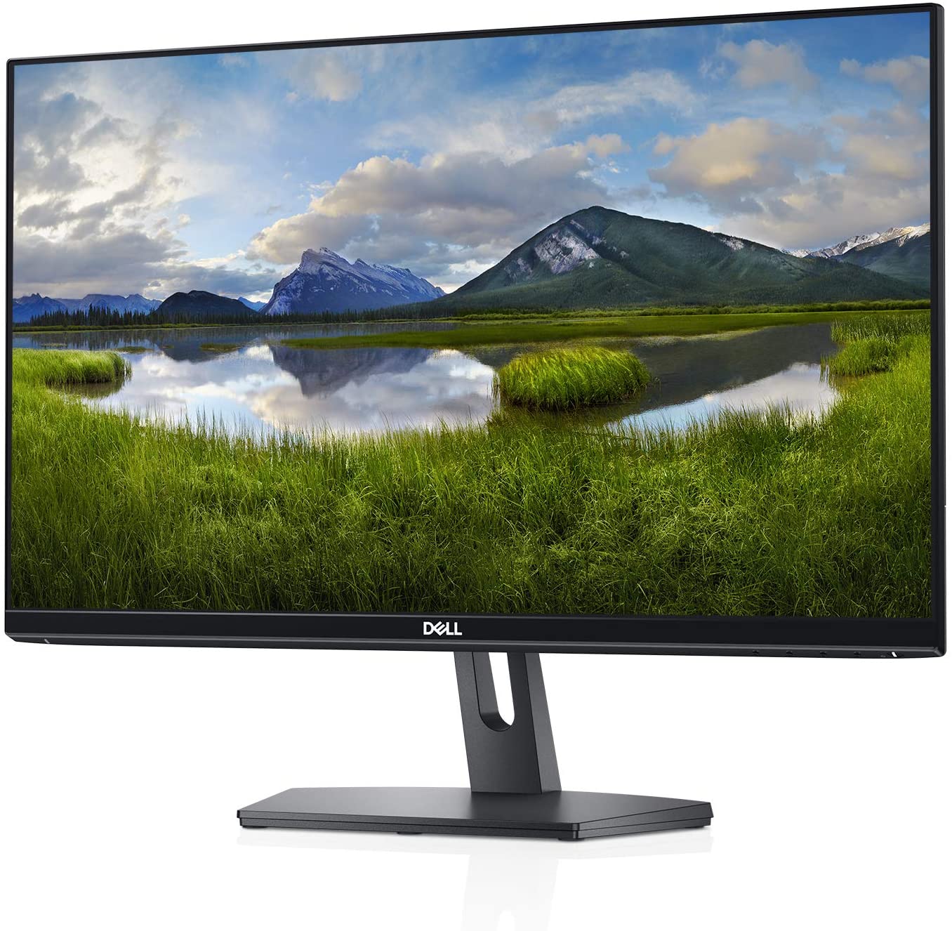 Dell SE2419Hx 23.8